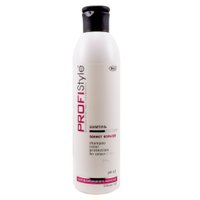 Шампунь  Profi Style Захист кольору для фарбованого волосся, 250 мл
